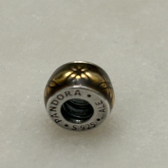 Pandora brown antique retired charm - Picture 3 of 4